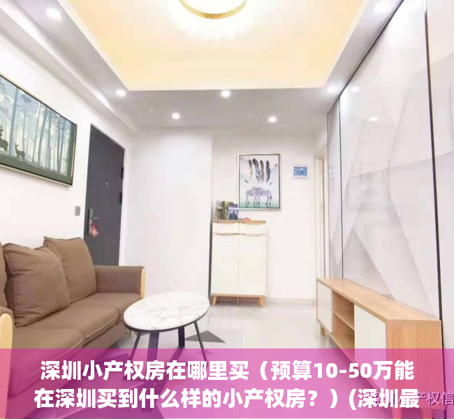 深圳小产权房在哪里买（预算10-50万能在深圳买到什么样的小产权房？）(深圳最值得买的小产权房)