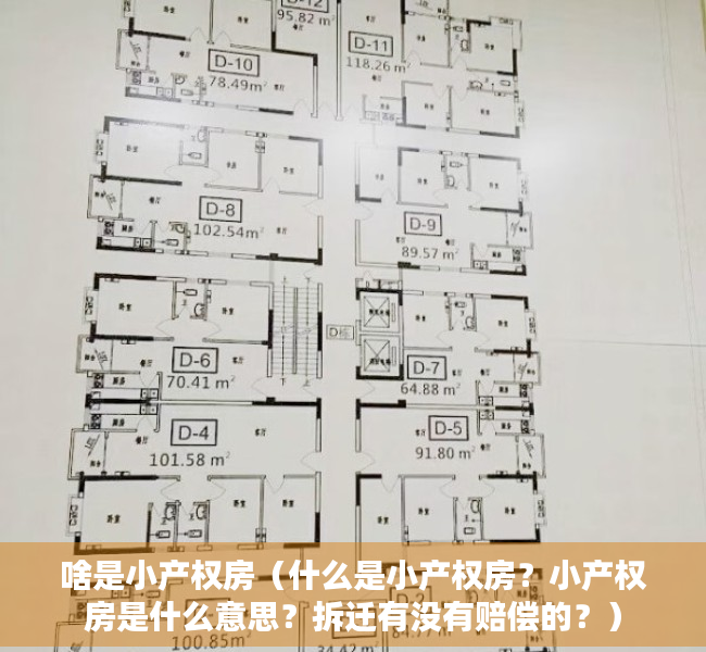 啥是小产权房（什么是小产权房？小产权房是什么意思？拆迁有没有赔偿的？）