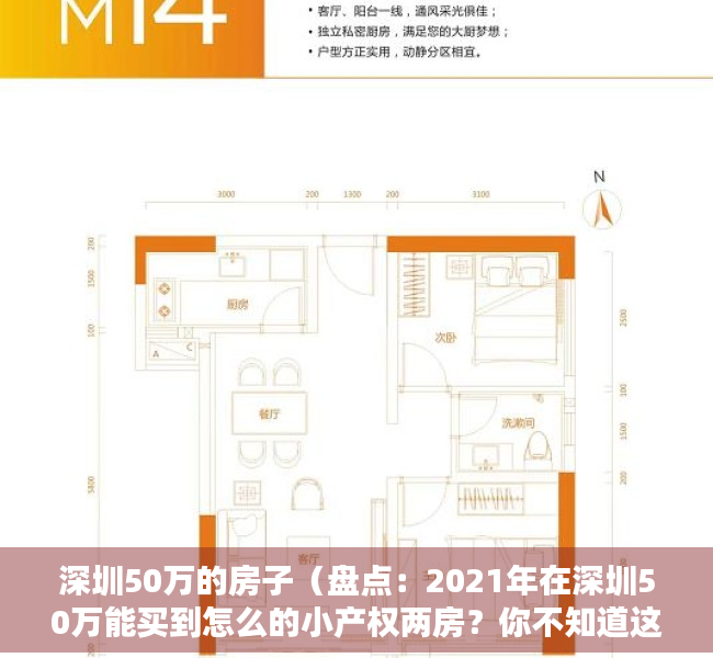 深圳50万的房子（盘点：2021年在深圳50万能买到怎么的小产权两房？你不知道这些楼盘就亏大了！）