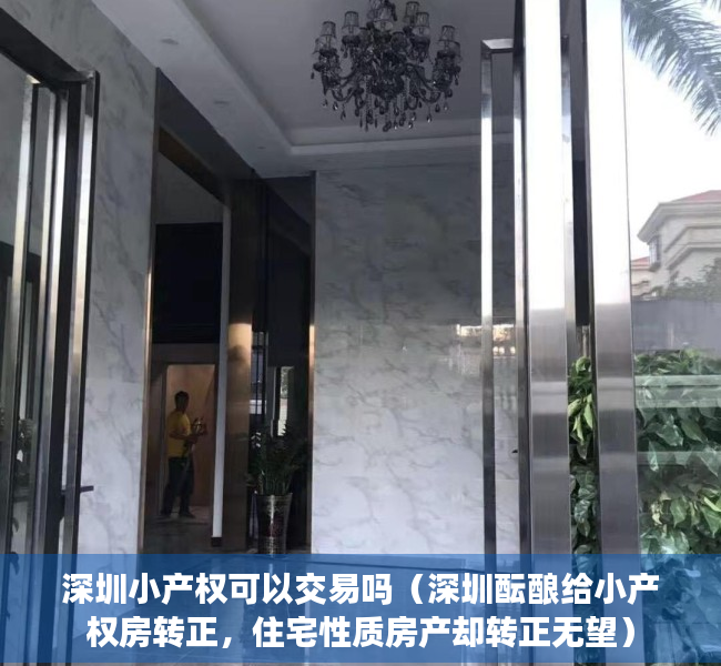 深圳小产权可以交易吗（深圳酝酿给小产权房转正，住宅性质房产却转正无望）