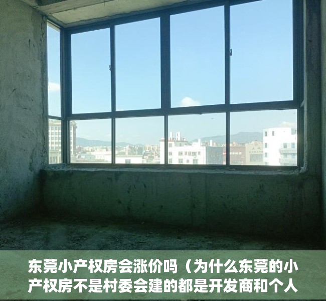 东莞小产权房会涨价吗（为什么东莞的小产权房不是村委会建的都是开发商和个人的小产权房）