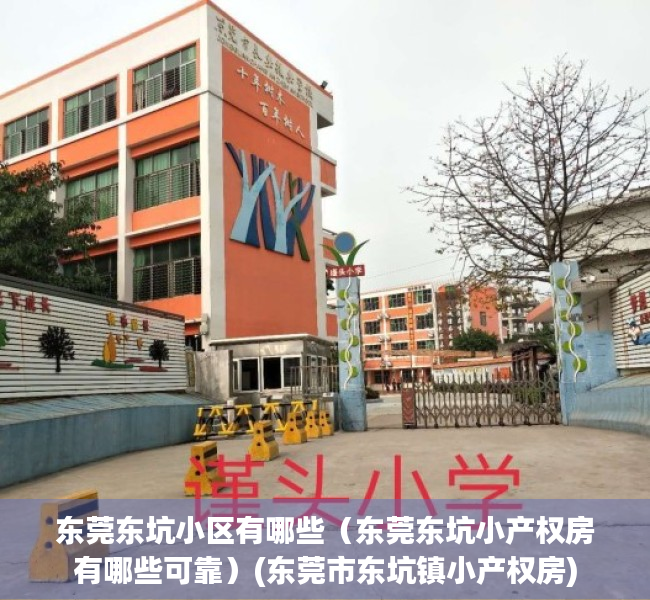 东莞东坑小区有哪些（东莞东坑小产权房有哪些可靠）(东莞市东坑镇小产权房)