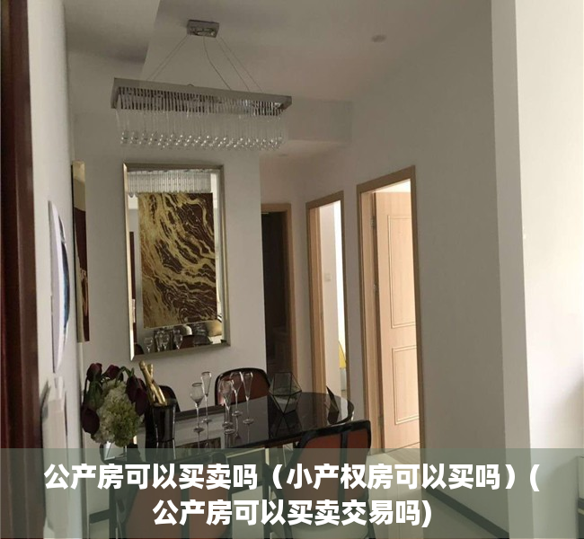 公产房可以买卖吗（小产权房可以买吗）(公产房可以买卖交易吗)