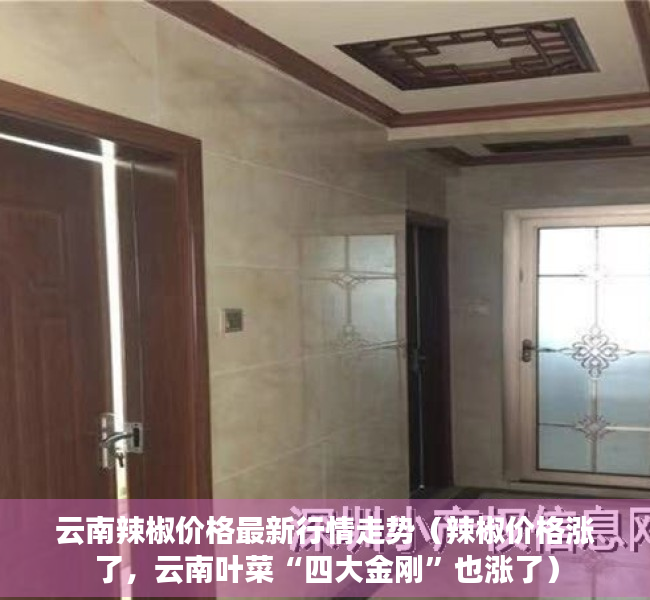 云南辣椒价格最新行情走势（辣椒价格涨了，云南叶菜“四大金刚”也涨了）