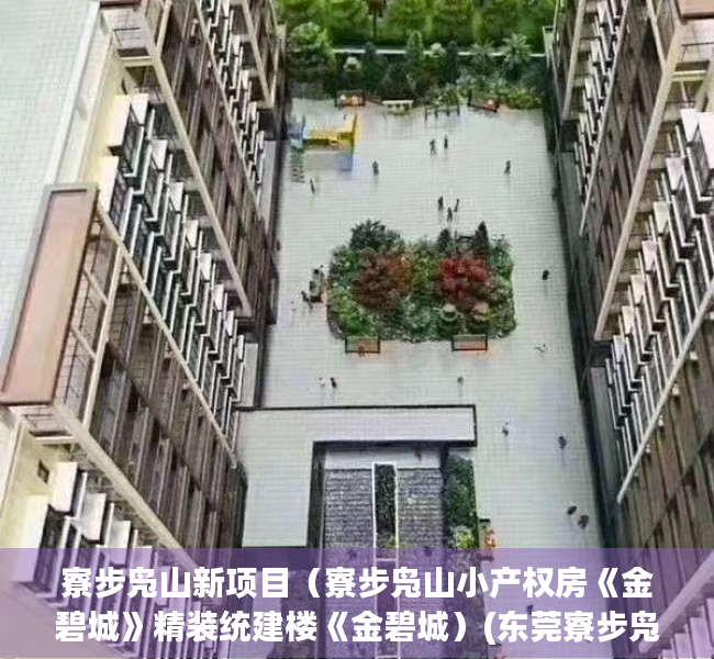 寮步凫山新项目（寮步凫山小产权房《金碧城》精装统建楼《金碧城）(东莞寮步凫山旧改规划)