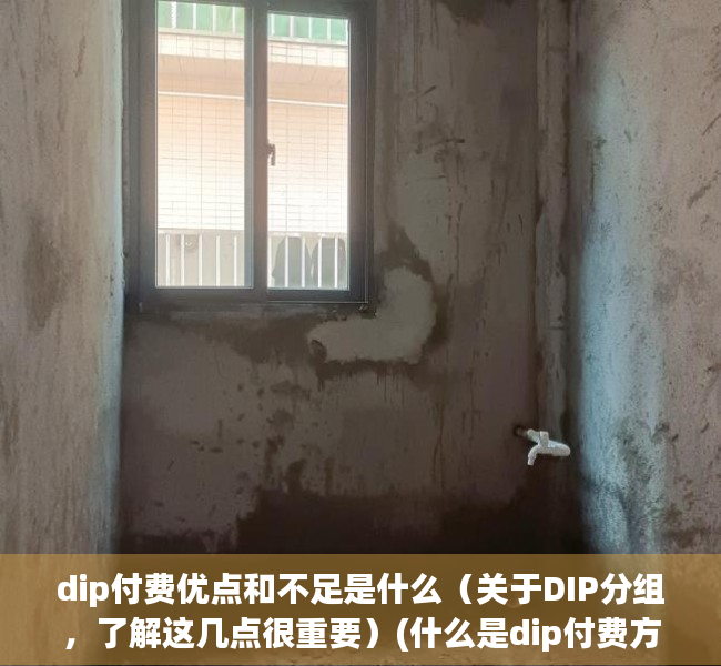 dip付费优点和不足是什么（关于DIP分组，了解这几点很重要）(什么是dip付费方式)