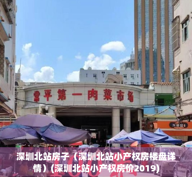深圳北站房子（深圳北站小产权房楼盘详情）(深圳北站小产权房价2019)