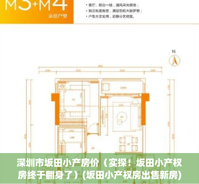 深圳市坂田小产房价（实探！坂田小产权房终于翻身了）(坂田小产权房出售新房)