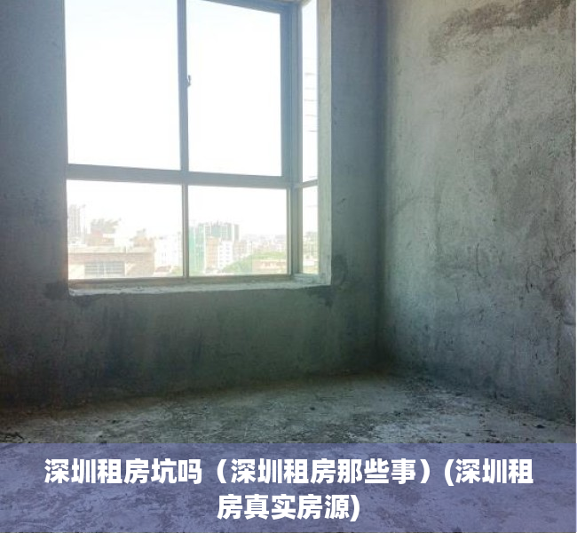 深圳租房坑吗（深圳租房那些事）(深圳租房真实房源)
