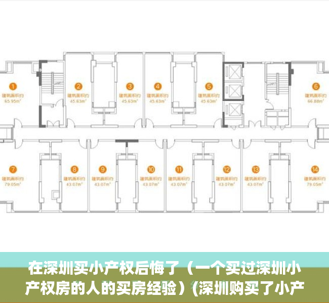 在深圳买小产权后悔了（一个买过深圳小产权房的人的买房经验）(深圳购买了小产权房的经验)
