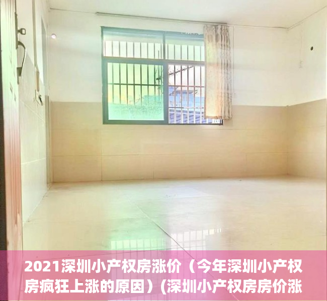 2021深圳小产权房涨价（今年深圳小产权房疯狂上涨的原因）(深圳小产权房房价涨得好快)
