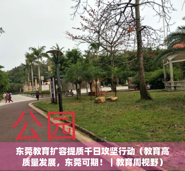 东莞教育扩容提质千日攻坚行动（教育高质量发展，东莞可期！｜教育周视野）