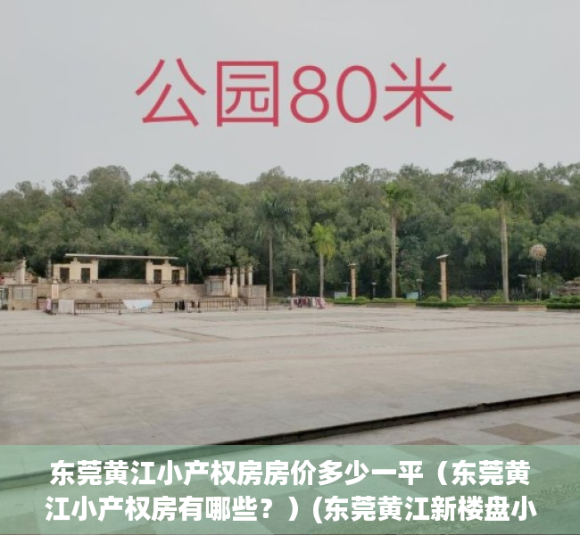 东莞黄江小产权房房价多少一平（东莞黄江小产权房有哪些？）(东莞黄江新楼盘小户型)