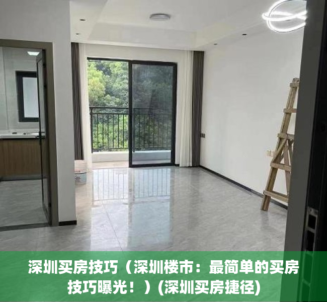 深圳买房技巧（深圳楼市：最简单的买房技巧曝光！）(深圳买房捷径)