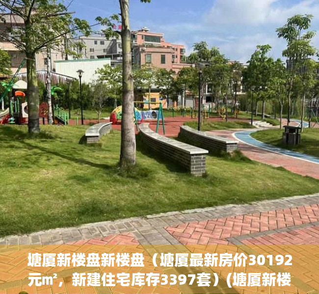 塘厦新楼盘新楼盘（塘厦最新房价30192元㎡，新建住宅库存3397套）(塘厦新楼盘2021)