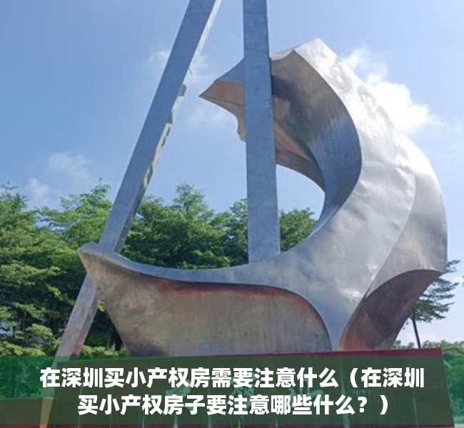 在深圳买小产权房需要注意什么（在深圳买小产权房子要注意哪些什么？）