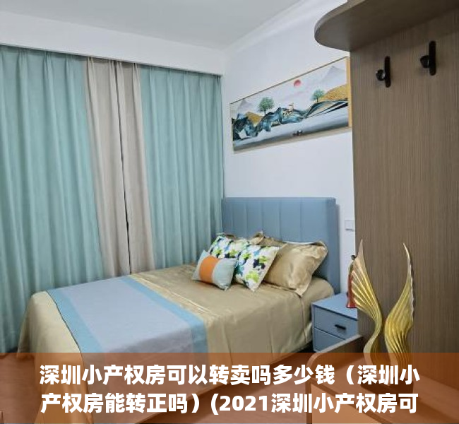 深圳小产权房可以转卖吗多少钱（深圳小产权房能转正吗）(2021深圳小产权房可以过户吗)