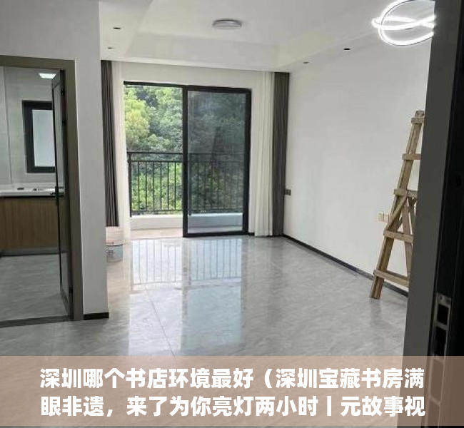 深圳哪个书店环境最好（深圳宝藏书房满眼非遗，来了为你亮灯两小时丨元故事视频）