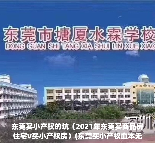 东莞买小产权的坑（2021年东莞买商品房住宅v买小产权房）(东莞买小产权血本无归)