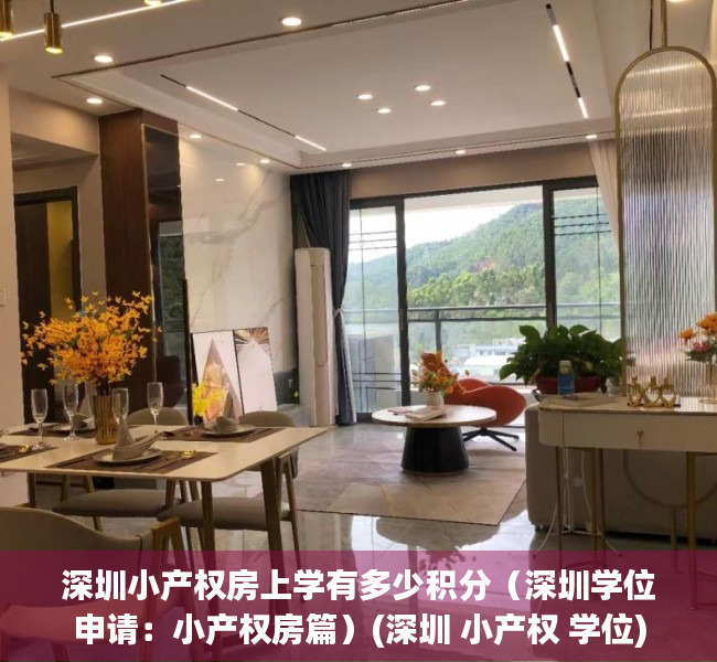 深圳小产权房上学有多少积分（深圳学位申请：小产权房篇）(深圳 小产权 学位)