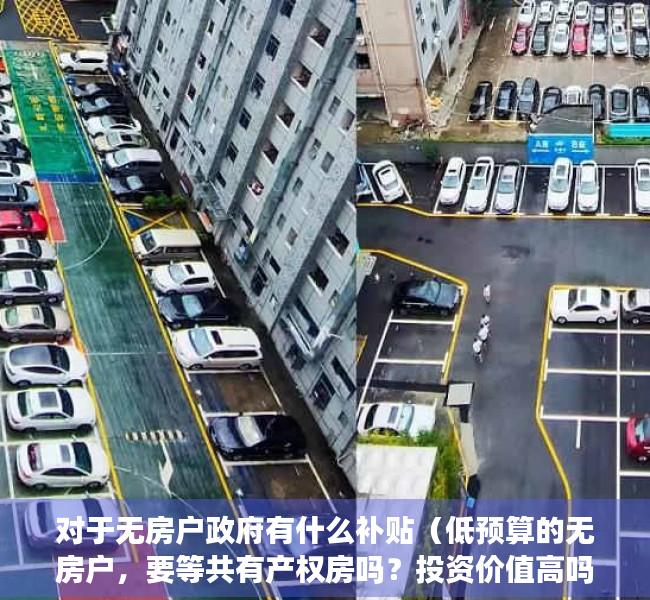 对于无房户政府有什么补贴（低预算的无房户，要等共有产权房吗？投资价值高吗？）