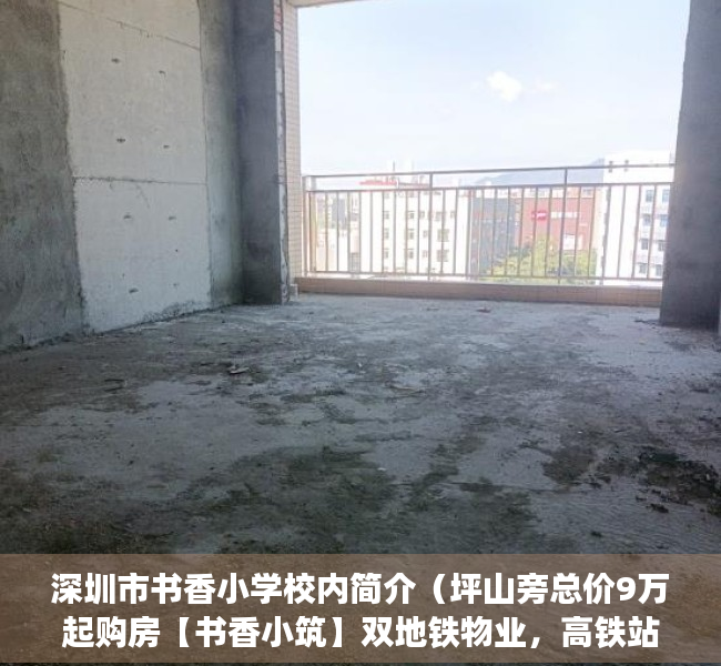 深圳市书香小学校内简介（坪山旁总价9万起购房【书香小筑】双地铁物业，高铁站15分钟）