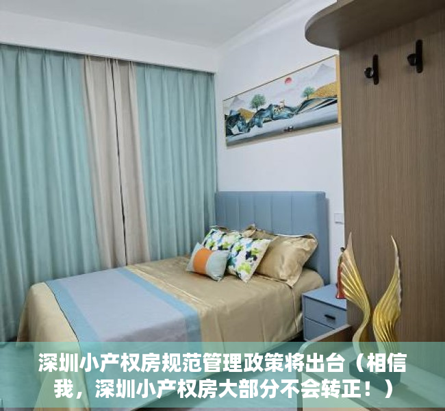 深圳小产权房规范管理政策将出台（相信我，深圳小产权房大部分不会转正！）