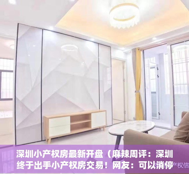 深圳小产权房最新开盘（麻辣周评：深圳终于出手小产权房交易！网友：可以消停几年了…）
