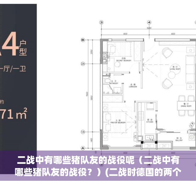 二战中有哪些猪队友的战役呢（二战中有哪些猪队友的战役？）(二战时德国的两个猪队友)