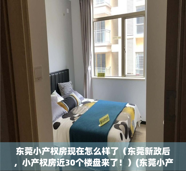 东莞小产权房现在怎么样了（东莞新政后，小产权房近30个楼盘来了！）(东莞小产权房价2021最新价格走势)