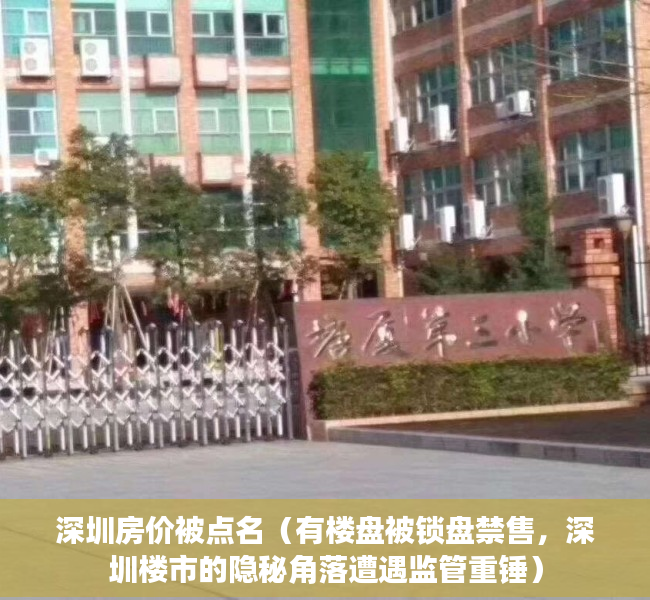 深圳房价被点名（有楼盘被锁盘禁售，深圳楼市的隐秘角落遭遇监管重锤）