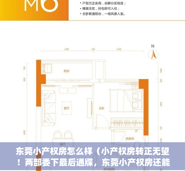 东莞小产权房怎么样（小产权房转正无望！两部委下最后通牒，东莞小产权房还能买吗）
