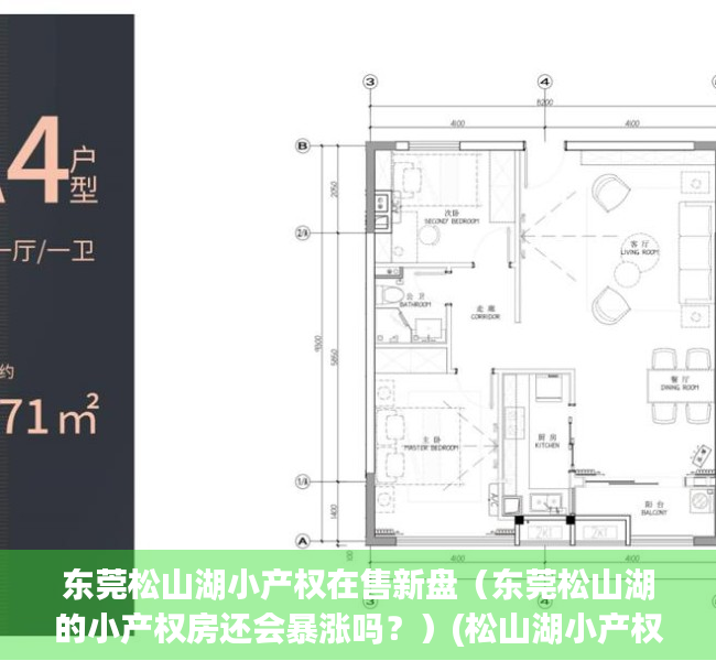 东莞松山湖小产权在售新盘（东莞松山湖的小产权房还会暴涨吗？）(松山湖小产权可靠吗)