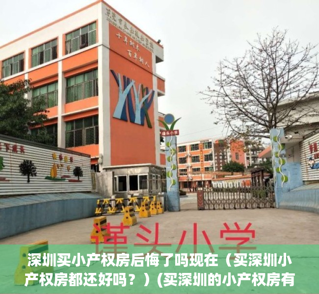 深圳买小产权房后悔了吗现在（买深圳小产权房都还好吗？）(买深圳的小产权房有风险吗)