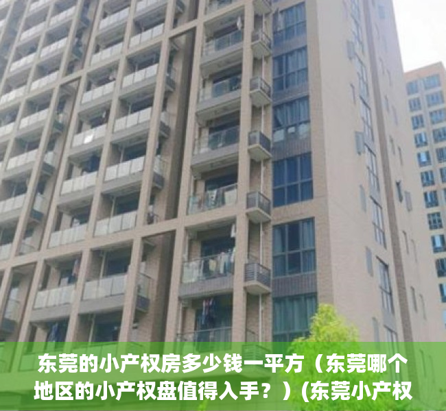 东莞的小产权房多少钱一平方（东莞哪个地区的小产权盘值得入手？）(东莞小产权多少钱一平米)