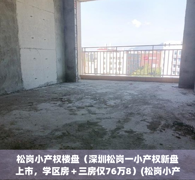 松岗小产权楼盘（深圳松岗一小产权新盘上市，学区房＋三房仅76万8）(松岗小产权房楼盘价格)