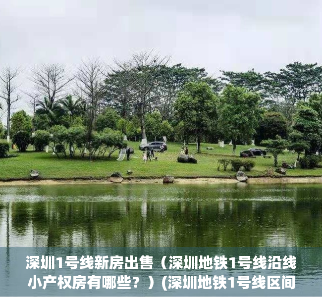 深圳1号线新房出售（深圳地铁1号线沿线小产权房有哪些？）(深圳地铁1号线区间线路)