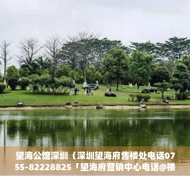 望海公馆深圳（深圳望海府售楼处电话0755-82228825「望海府营销中心电话@楼盘详情」）
