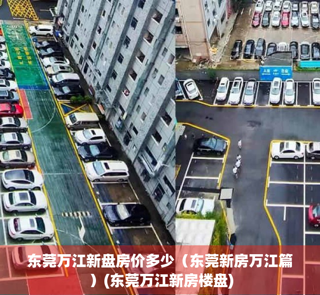 东莞万江新盘房价多少（东莞新房万江篇）(东莞万江新房楼盘)