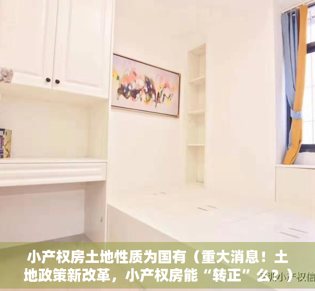 小产权房土地性质为国有（重大消息！土地政策新改革，小产权房能“转正”么？）