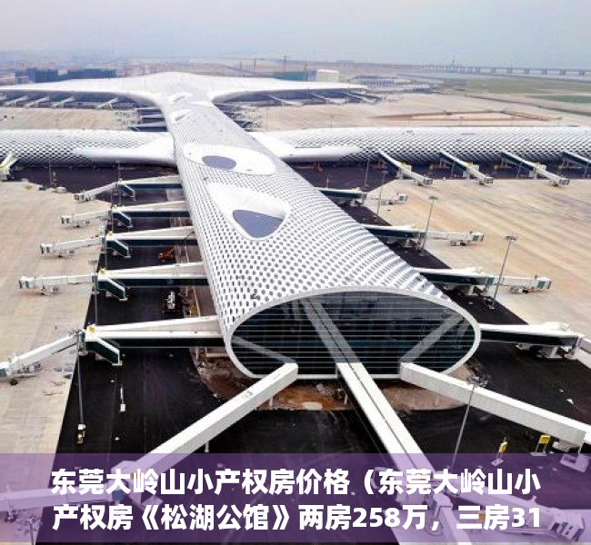 东莞大岭山小产权房价格（东莞大岭山小产权房《松湖公馆》两房258万，三房318万，四房338万）