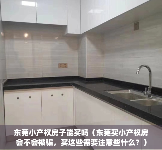 东莞小产权房子能买吗（东莞买小产权房会不会被骗，买这些需要注意些什么？）