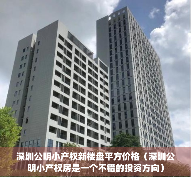深圳公明小产权新楼盘平方价格（深圳公明小产权房是一个不错的投资方向）