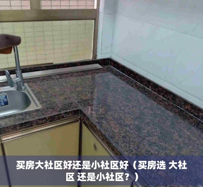 买房大社区好还是小社区好（买房选 大社区 还是小社区？）