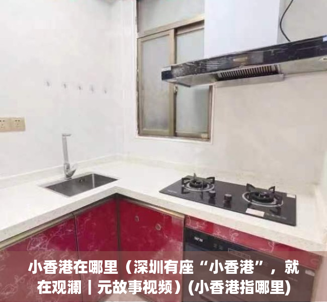小香港在哪里（深圳有座“小香港”，就在观澜｜元故事视频）(小香港指哪里)