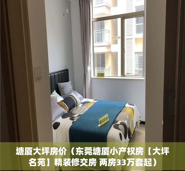 塘厦大坪房价（东莞塘厦小产权房【大坪名苑】精装修交房 两房33万套起）