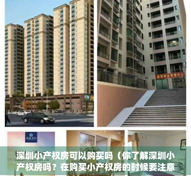 深圳小产权房可以购买吗（你了解深圳小产权房吗？在购买小产权房的时候要注意哪些事项？如何规避风险？小产权房的学位如何解决？）