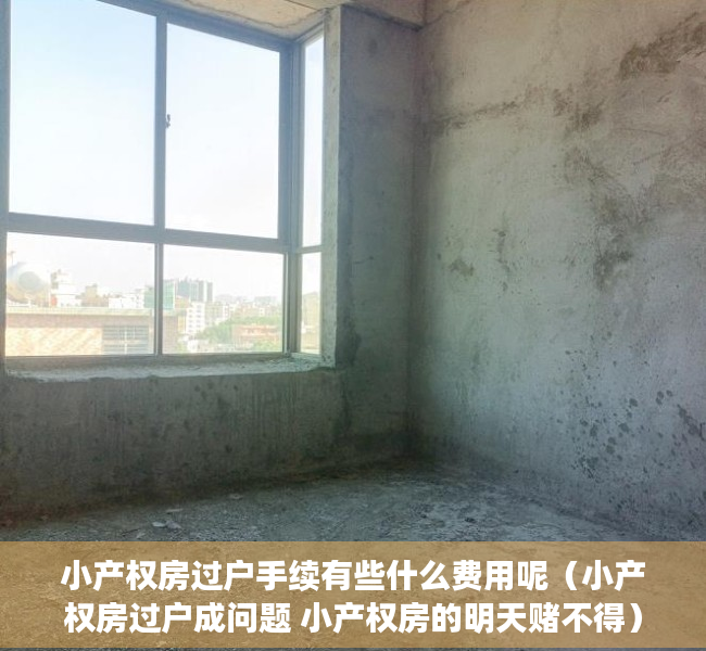 小产权房过户手续有些什么费用呢（小产权房过户成问题 小产权房的明天赌不得）