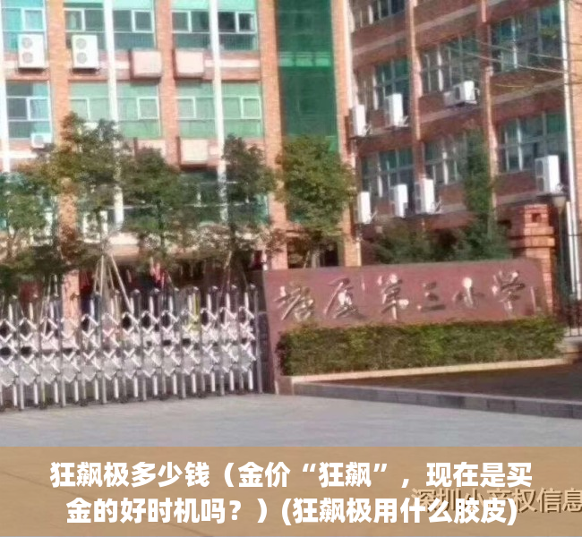 狂飙极多少钱（金价“狂飙”，现在是买金的好时机吗？）(狂飙极用什么胶皮)