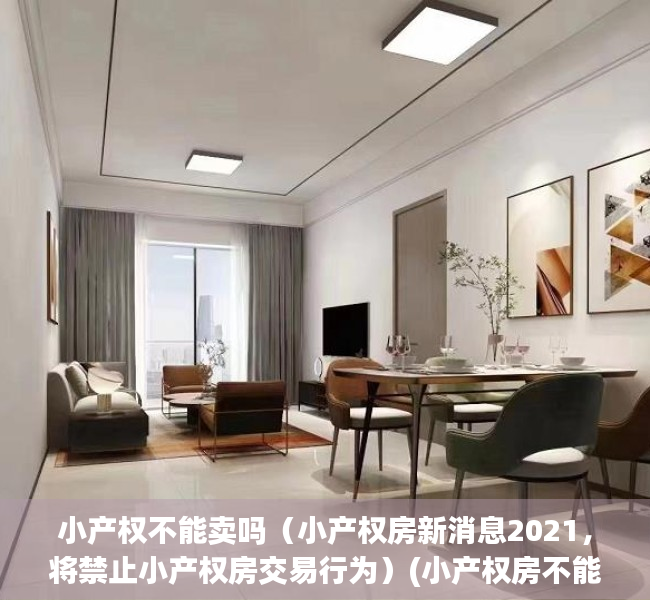 小产权不能卖吗（小产权房新消息2021，将禁止小产权房交易行为）(小产权房不能买卖以后怎么处理呢?)